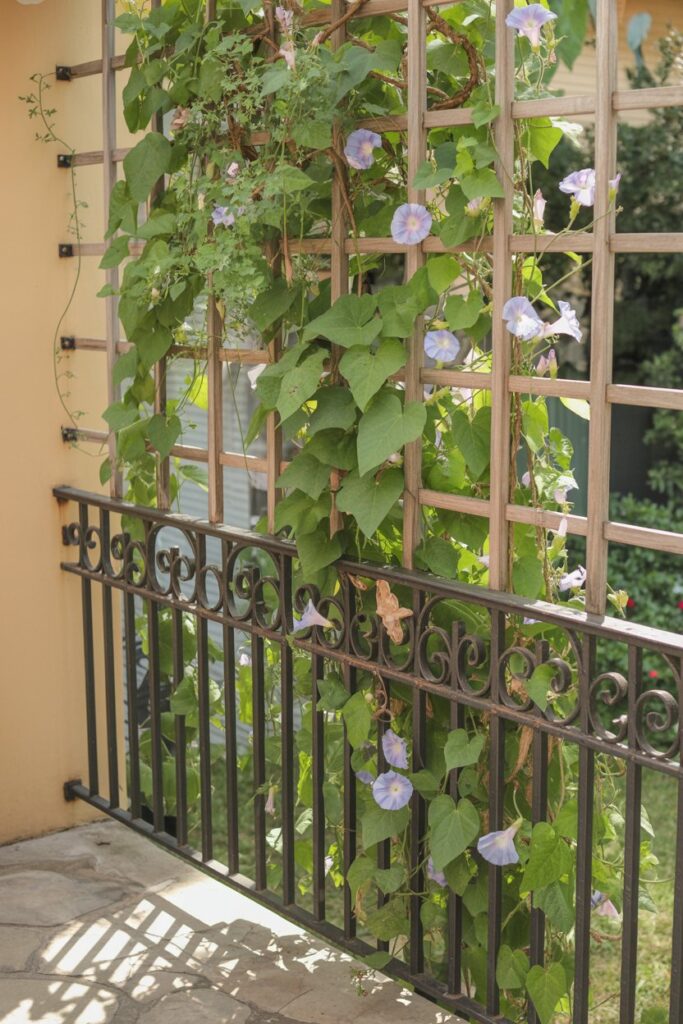 Small Space Gardening Ideas